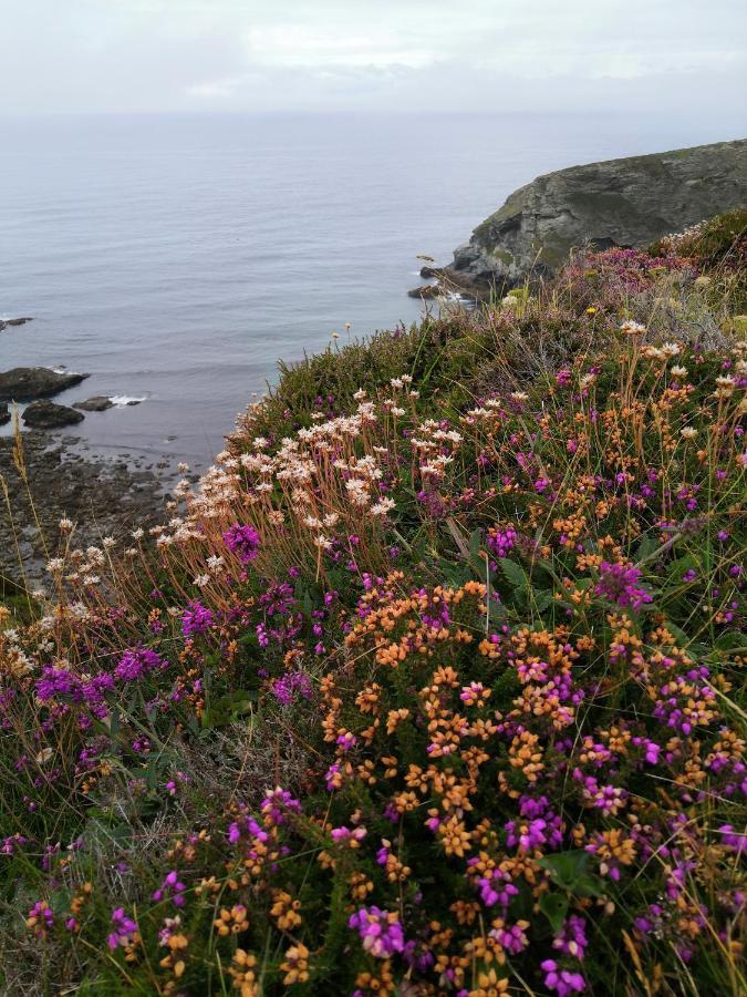 Captivating Isolde Cottage With Pool Near St Ives 캠본 외부 사진
